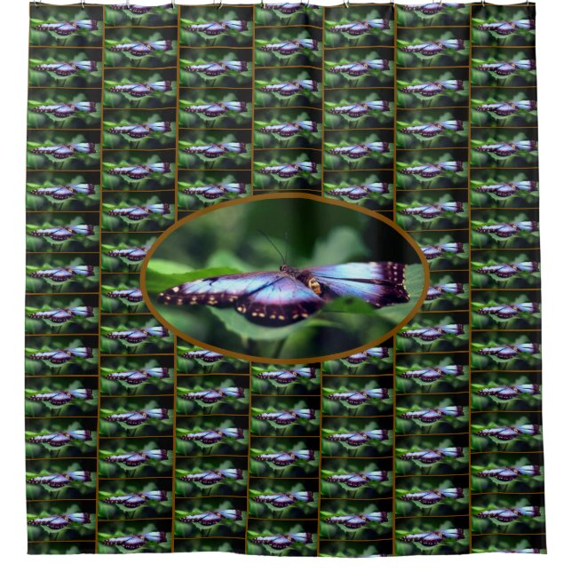 Cortina Para Box Padrão Natural de Fechamento da Borboleta Azul (Frente)