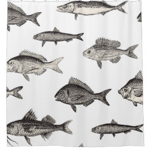 Cortina Para Box Padronização de peixe-safra, peixe, patins