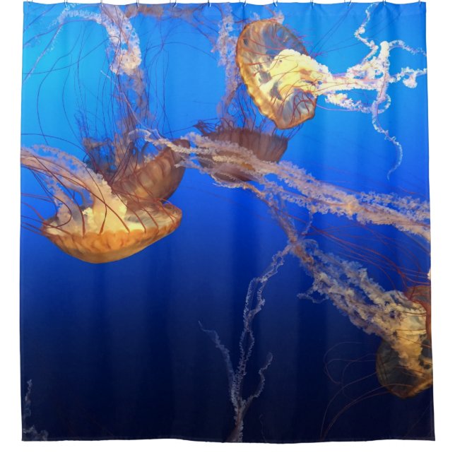 Cortina Para Box Paisagem Bela (Frente)