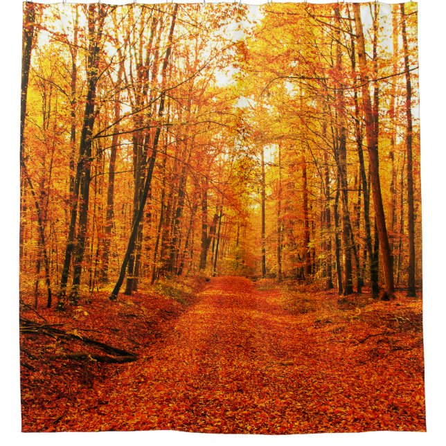 Cortina Para Box Paisagem de Autumn Way (Frente)