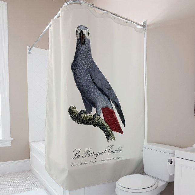Cortina Para Box Papagaio cinzento africano, Psittacus erithacus, v (Le Perroquet Cendre - 19th century illustration. Shower Curtain)