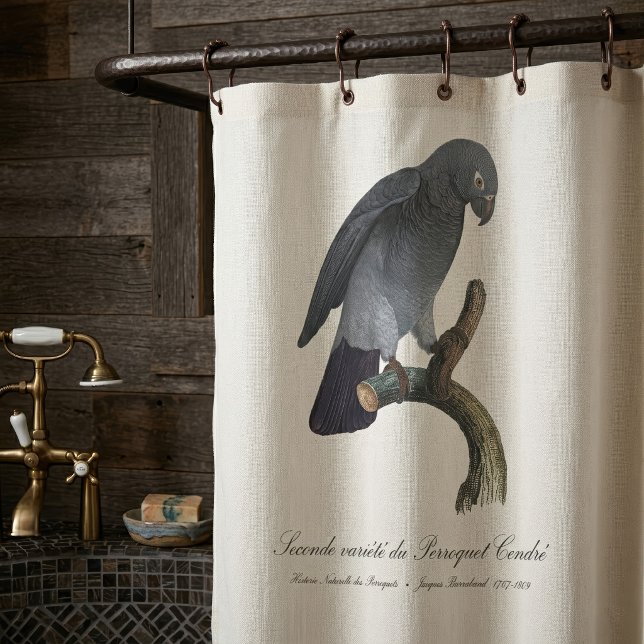 Cortina Para Box Papagaio-Cinzento-de-Timneh, Psittacus Timneh (Timneh African Grey Parrot, Psittacus Timneh. Shower Curtain)