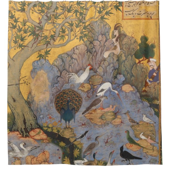 Cortina Para Box Parcela Das Aves Por Habiballah De Sava (Frente)