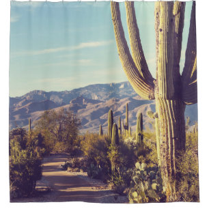 Cortina Para Box Parque Nacional Saguaro, representação cênica.