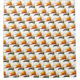 Cortina Para Box Pássaro Laranja do Padrão de Planta do Paraíso em 