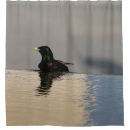 Cortina Para Box Pássaro Pequeno