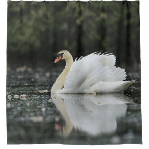 Cortina Para Box Pássaros Cisne Água Azul Branco Vida Selvagem Pací