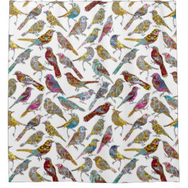 Cortina Para Box Pássaros Showertime clássico elegante da dança