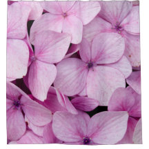 Pastel Charm: Pink Flowers in the Heart of SAPA