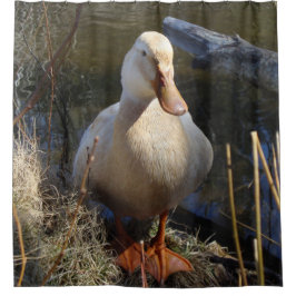 Cortina Para Box Pato de Saxony