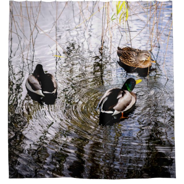 Cortina Para Box Patos (Frente)