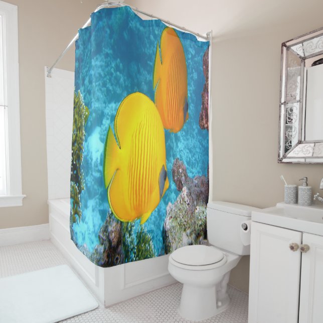 Cortina Para Box Peixe-Borboleta Exótico (In Situ)