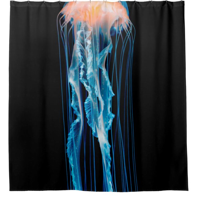 CORTINA PARA BOX PEIXE JELLÍQUICO EM LONDRES DA VIDA MARÍTIMA (Frente)