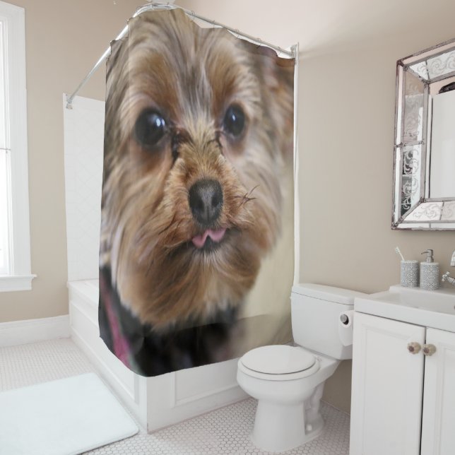 Cortina Para Box Pfft! (In Situ)