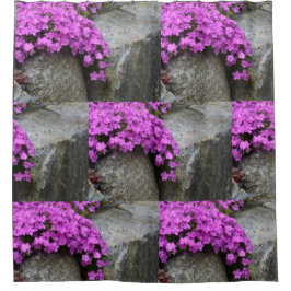 Cortina Para Box Phlox Rock Garden