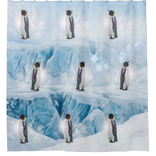 Cortina Para Box Pinguins Imperadores Em Uma Geleira