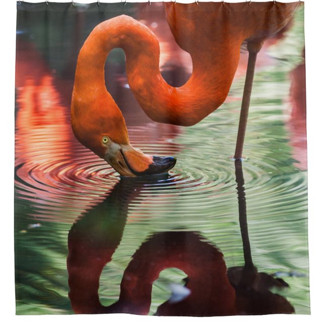 CORTINA PARA BOX PINK FLAMINGO (Frente)