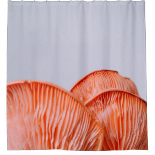 CORTINA PARA BOX PINK MUSHROOMS
