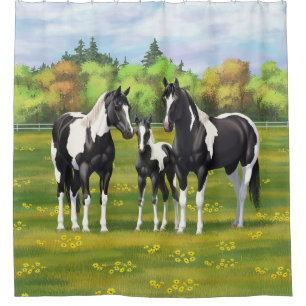 Cortina Para Box Pinto Negro Pinto Quarto Cavalos Na Pastagem De Ve