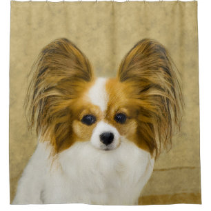 Cortina Para Box Pintura de Papillon (Hound Tri) - Arte de Cão Ori