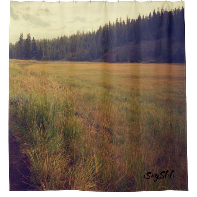 Cortina Para Box planície e floresta (Frente)