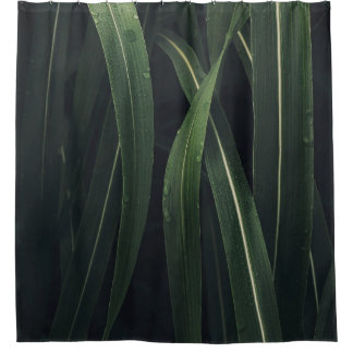 CORTINA PARA BOX PLANTA VERDE