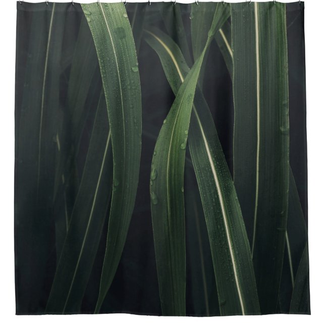 CORTINA PARA BOX PLANTA VERDE (Frente)