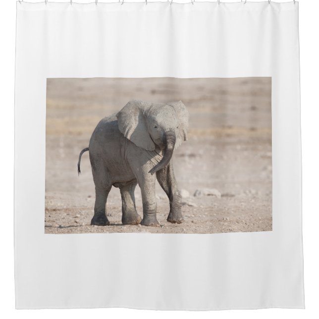 Cortina Para Box Playful young elephant (Frente)