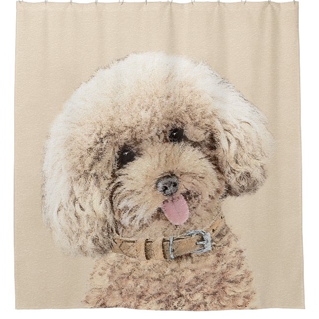 Cortina Para Box Poodle Miniature Toy Apricot Cream Brown Dog Art (Frente)