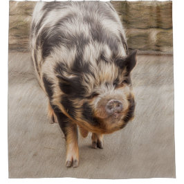 Cortina Para Box Porco gordo