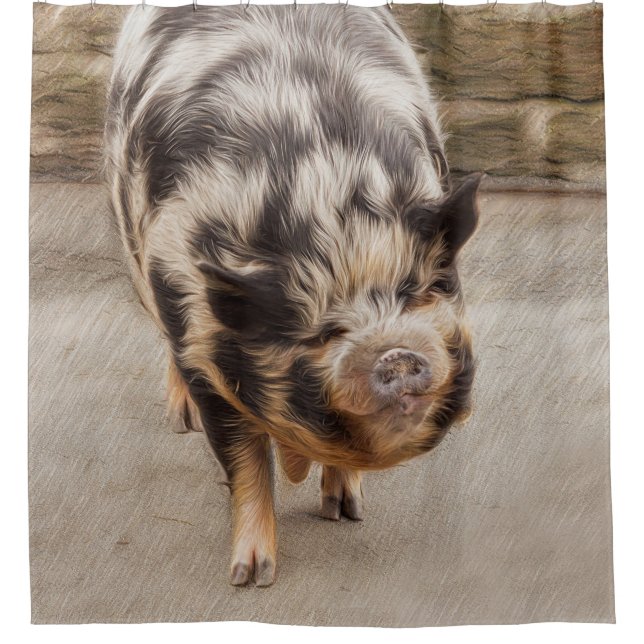 Cortina Para Box Porco gordo (Frente)