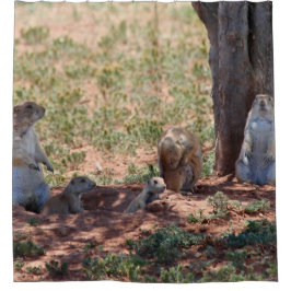 Cortina Para Box Prairie Dog Family