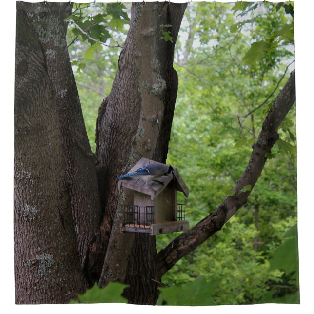 Cortina Para Box Procurando uma mordida para comer (Frente)