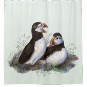 Cortina Para Box Puffin Família de Pássaros Puffin - Cor-de-água - 