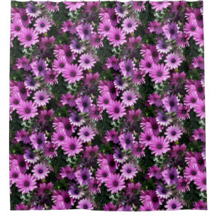 Cortina Para Box Púrpura Margarida Africana Flores Natureza Padrão