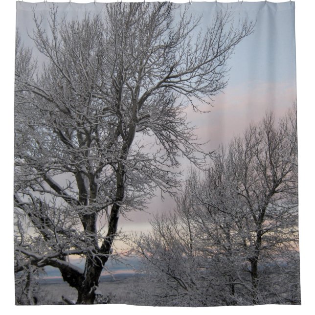 Cortina Para Box Ramos cobertos de neve (Frente)