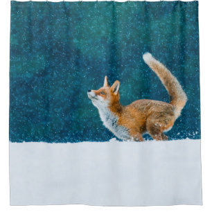 Cortina Para Box Raposa em queda de neve. Raposa vermelha, Vulpes v
