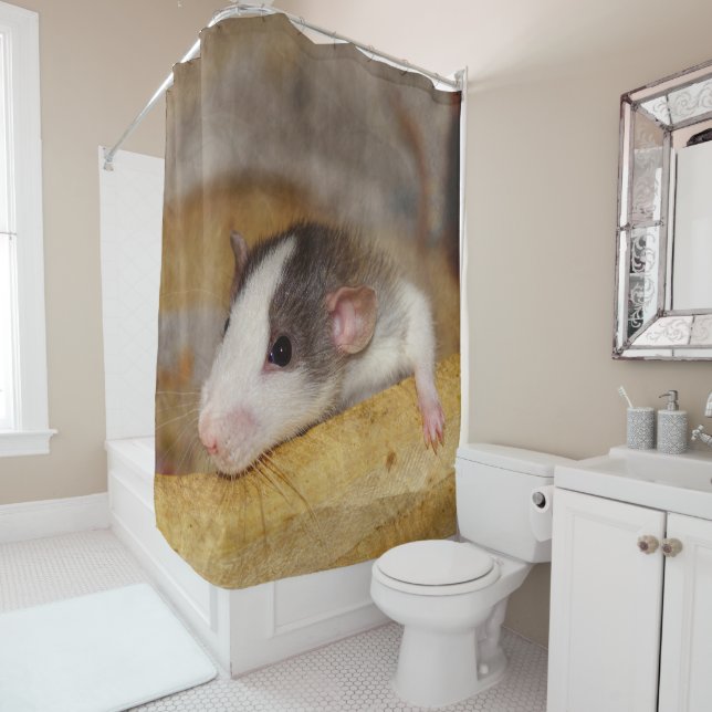 Cortina Para Box Rato Cujo (In Situ)