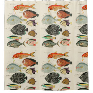 Cortina Para Box Recolha de peixe
