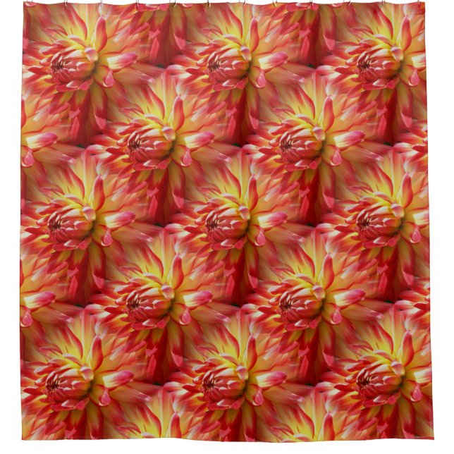Cortina Para Box Red Dahlia Flower Nature Patterno (Frente)