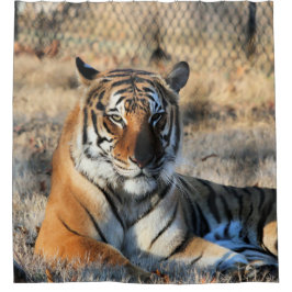 Cortina Para Box Regal