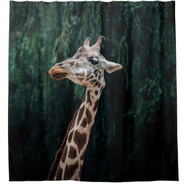 CORTINA PARA BOX RETRATO DE CUTE GIRAFFE (Frente)