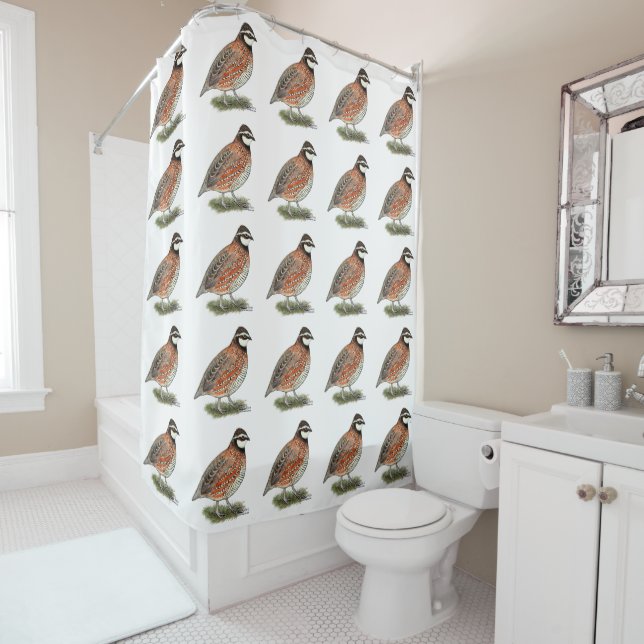 Cortina Para Box Rooster Bobwhite Quail (In Situ)
