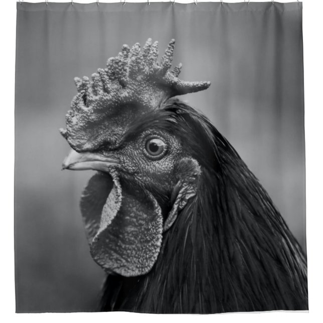 Cortina Para Box Rooster Preto e Branco (Frente)