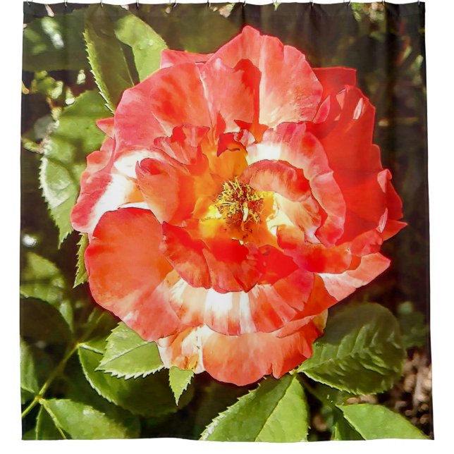 Cortina Para Box Rosa ensolarado....... (Frente)