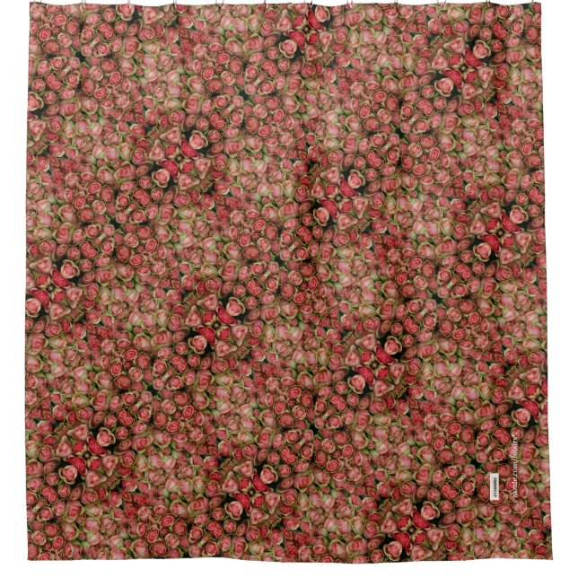 Cortina Para Box Rosas (Frente)