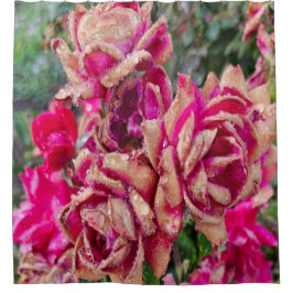 Cortina Para Box Rosas Antigos