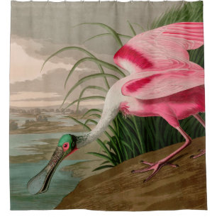 Cortina Para Box Roseate Spoonbill Birds, Impressão da América Audu