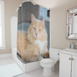 Cortina Para Box Ruffles