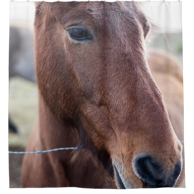 CORTINA PARA BOX SAD HORSE (Frente)